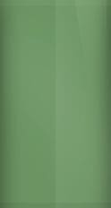 CAPS Paint Color Chip Image
